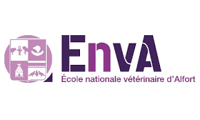Logo Enva